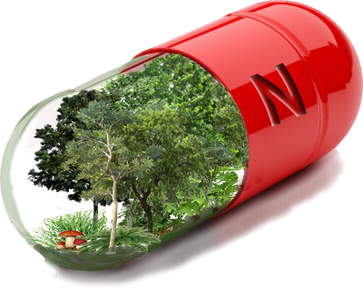  PRESCRIPCIÓN DE LA VITAMINA N, LOS EFECTOS BENEFICIOSOS DE LA ATMOSFERA DE LOS BOSQUES,Prescribir naturaleza,Recetar naturaleza o vitamina N para apoyar la salud con dosis de naturaleza en tu vida